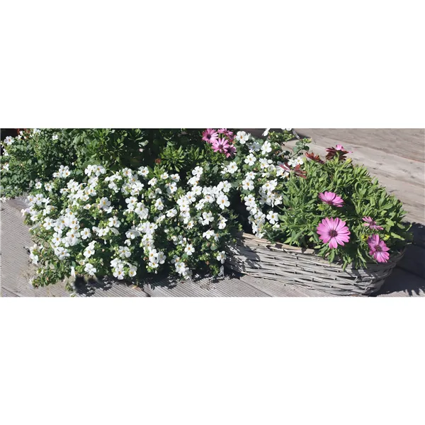 Flowerpot oval grey P0991/5