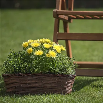 Flowerpot oval brown P0992/5