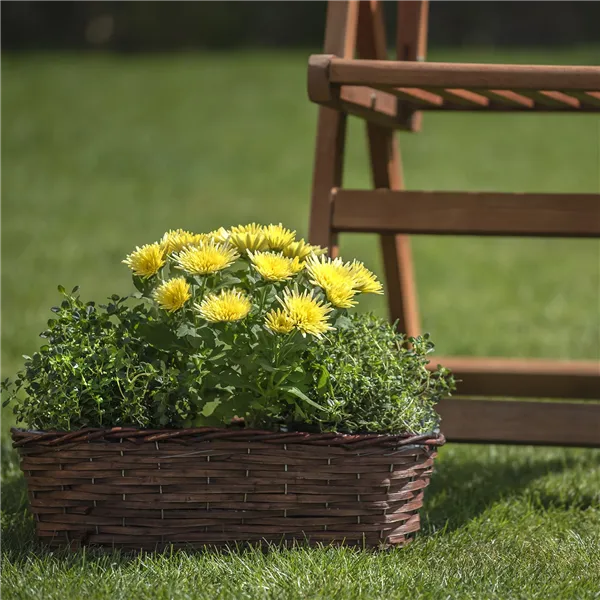 Flowerpot oval brown P0992/5