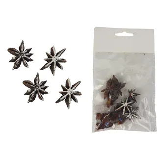 Star anise 8 pcs P1303