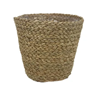 Straw flower wrapper P2202/5