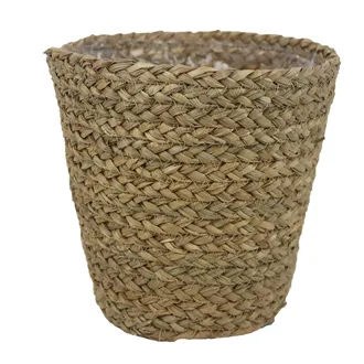 Straw flower wrapper P2202/6