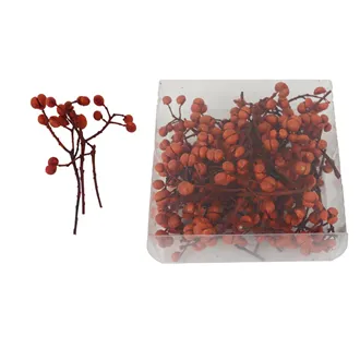 Twigs with berries P2433