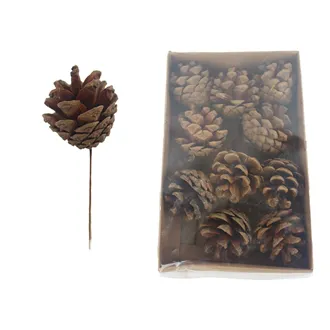 Decorative Pine Cone, 10 pcs P2462