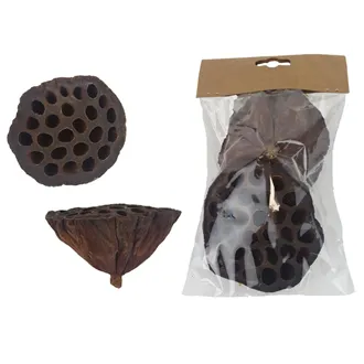 Dried Lotus Decoration, 2 pcs P2480