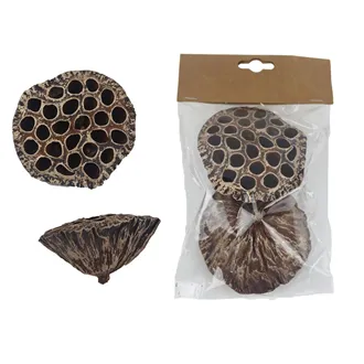 Dried Lotus Decoration, 2 pcs P2481