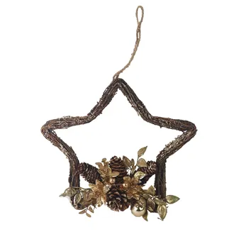 Hanging Star P2491