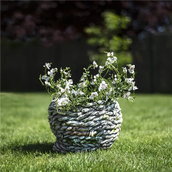 Decoration for flower X2273