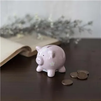 Piggy bank X3756