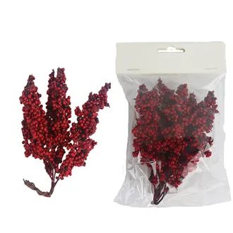 Decoration with berries X5574