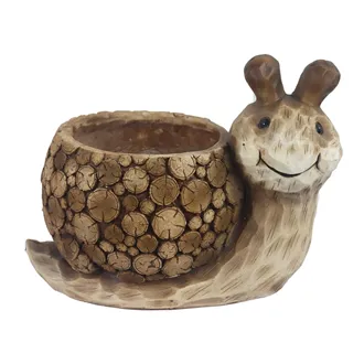 Flower Pot Snail X5636