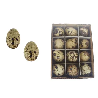 Decorative quail eggs, 12 pcs X5774