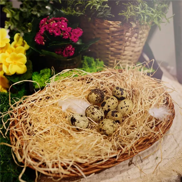 Decorative quail eggs, 12 pcs X5774