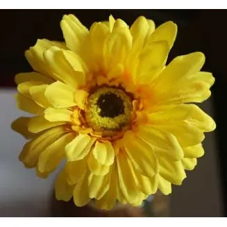 Gerbera yellow X5786-02