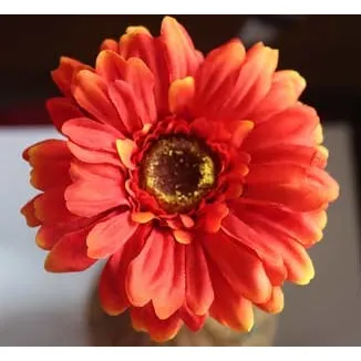 Gerbera Red X5786-08