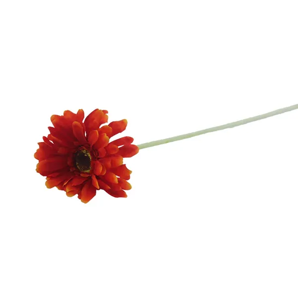Gerbera Red X5786-08