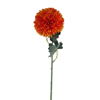 Chrysanthemum orange X5787-04