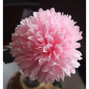 Chrysanthemum light pink X5787-05