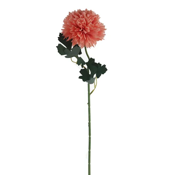 Chrysanthemum pink X5787-07
