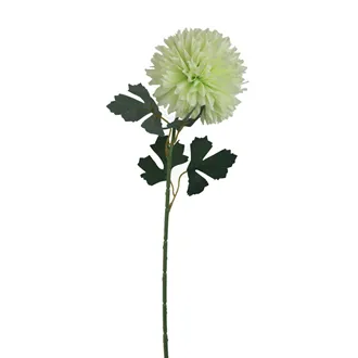 Chrysanthemum green X5787-15