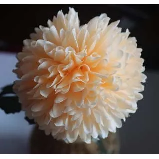 Chrysanthemum apricot orange X5787-33