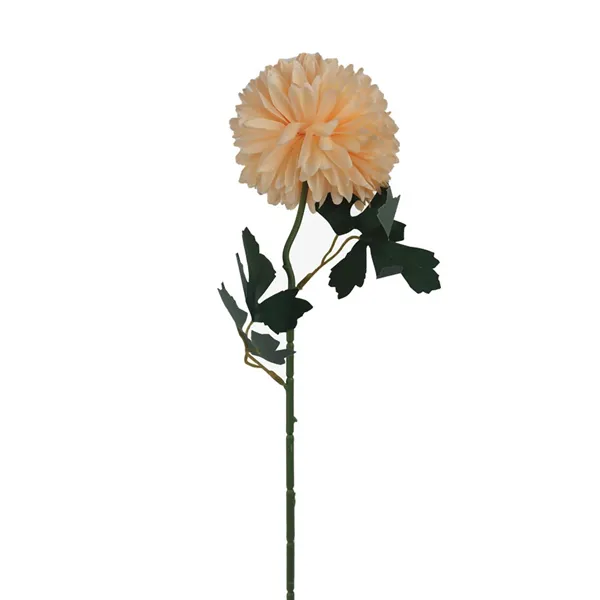 Chrysanthemum apricot orange X5787-33