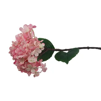 Hydrangea pink X5788-05