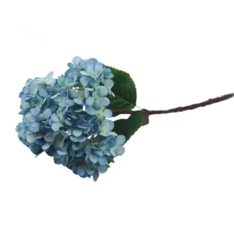 Hydrangea light blue X5788-13