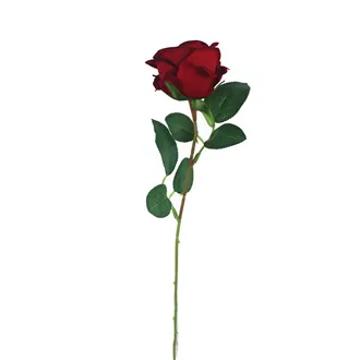 Rose red X5791-08