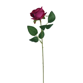 Rose burgundy X5791-09