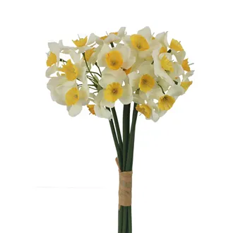 Bunch of daffodils X5829-01