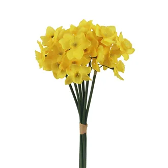 Bouquet of daffodils X5829-02