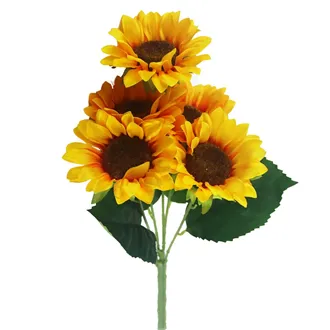 Sunflower X5831