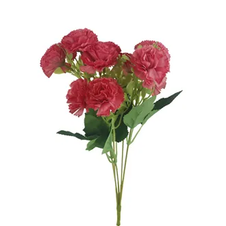 Carnation X6948-07
