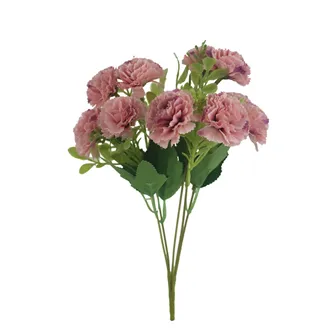 Carnation X6948-30
