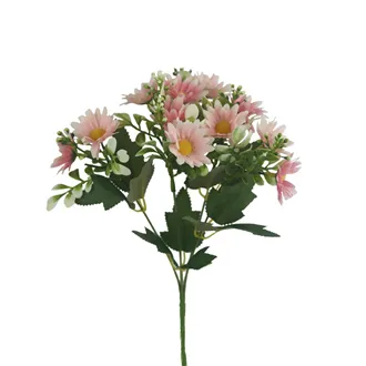 Marguerite Daisy X6954-05