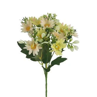 Marguerite Daisy X6954-30