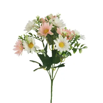 Marguerite Daisy X6954-37