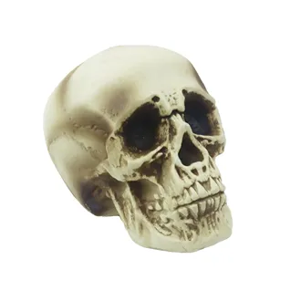 Skull Halloween decoration X7000