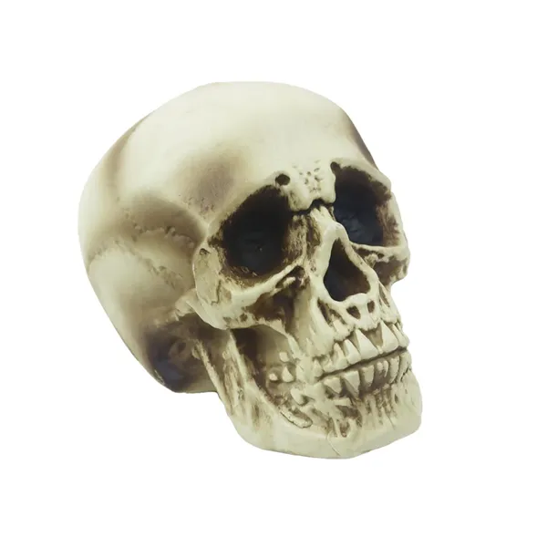 Skull Halloween decoration X7000