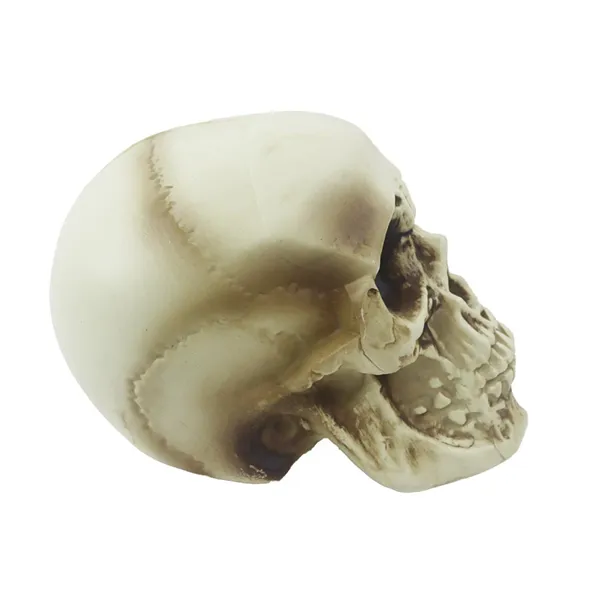 Skull Halloween decoration X7000