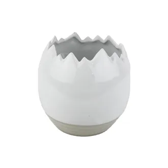 Porcelain shell X7751/1