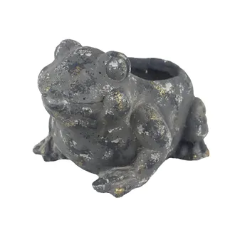 Frog Planting Decoration X7771