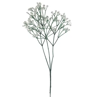 Baby's breath X7890-01