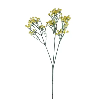 Baby's breath X7890-02