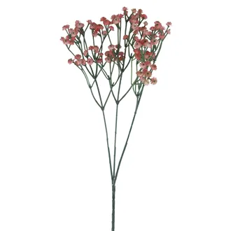 Baby's breath X7890-05