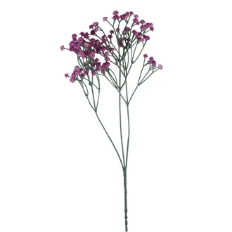 Baby's breath X7890-11