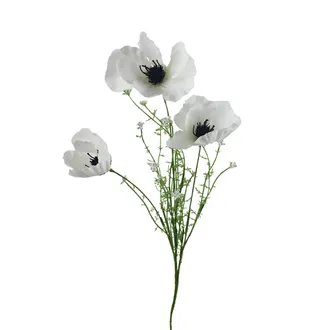 Poppy X7895-01