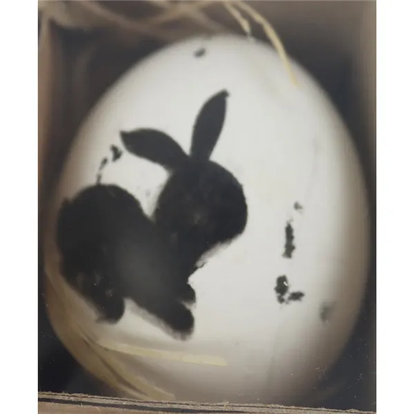 Easter eggs, 6 pcs 2nd quality X7944B