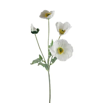 Poppy X7963-01